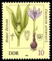 Colchicum autumnale