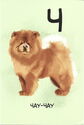 Chow Chow