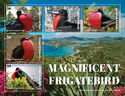 Magnificent Frigatebird
