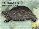 Blanding's Turtle (Emydo茂dea blandingii)