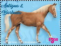 Haflinger Horse (Equus ferus caballus)