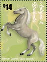 American Quarter (Equus caballus)