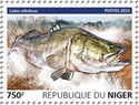 Nile Perch (Lates niloticus)