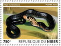 Forest Cobra (Naja melanoleuca)