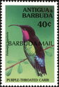 Purple-throated Carib (Eulampis jugularis) - Overprinted