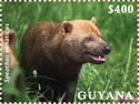 Bush Dog