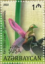 Symbol of Shusha - Khari Bulbul Flower (Ophrys caucasica)