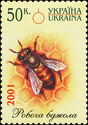 Bee (Apis sp.) - Worker Bee