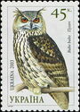 Eurasian Eagle-owl (Bubo bubo)