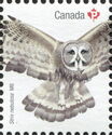 Great Grey Owl (Strix nebulosa)