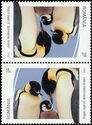 Emperor Penguin (Aptenodytes forsteri)