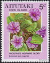 Prostrate Morning Glory (Ipomoea pes-caprae)