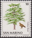 Golden Eagle (Aquila chrysaetos), Lebanon Cedar (Cedrus liba