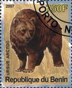 Ursus arctos
