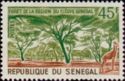 Forest Region of Senegal River