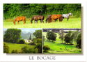 Le Bocage (Fields)