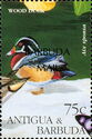 Wood Duck (Aix sponsa) - Overprinted