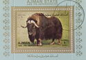 Muskox (Ovibos moschatus)