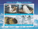 Animals of the Antarctic