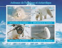 Animals of the Antarctic