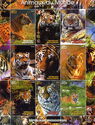 Animals of the World Tigers