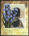 Pool of Siloam and Hyacinthus orientalis