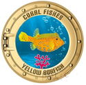 Yellow Boxfish
