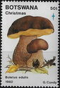 King boletus