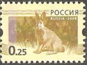 European Hare (Lepus europaeus)