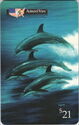 Wyland - Dolphin Trio ( TEST )