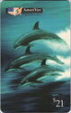 Wyland - Dolphin Trio