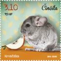 Chinchilla (Chinchilla sp.)