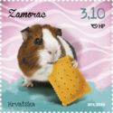 Domestic Guinea Pig (Cavia porcellus)