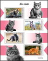 Domestic Cats