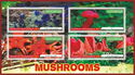 Mushrooms