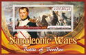 Napoleonic Wars Battle of Borodino