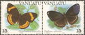Eight-Spot Butterfly (Hypolimnas octocula), Double-branded C