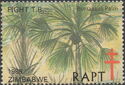 Borrassus Palm