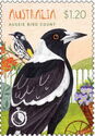 Australian Magpie (Gymnorhina tibicen)