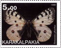Parnassius phoebus