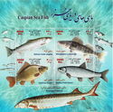 Caspian Sea Fish