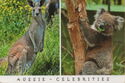 Aussie – Celebrities