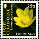 Lesser Celandine (Ranunculus ficara)