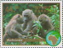 Baboons