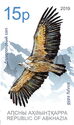 Eurasian Griffon (Gyps fulvus)