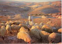 Bethlehem " Shepherd's Field"
