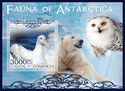 Polar Fauna of Antarctica