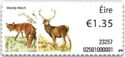 Stamp Design by Wendy Walsh