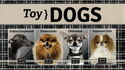 Toy Dogs