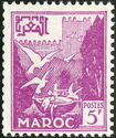 Vasque pigeon